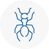 Ant Removals In North Walsham