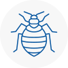 Bed Bug Extermination In North Walsham