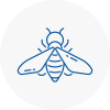 Bee Nest Removal North Walsham