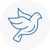 Bird Prevention North Walsham