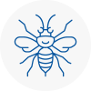 North Walsham Hornet Nest Removals