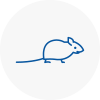 Mice Exterminators In North Walsham