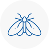 Moth Control Specialists In North Walsham