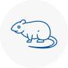 Rat Control North Walsham