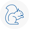 North Walsham Rodent Removals